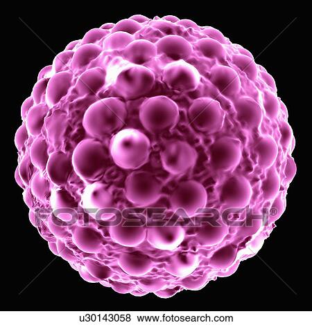 Stock Illustration - Hepatitis a, artwork. Fotosearch