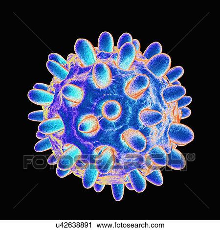 Hepatitis b, artwork View Large Illustration Clip Art - Hepatitis b, artwork. Fotosearch