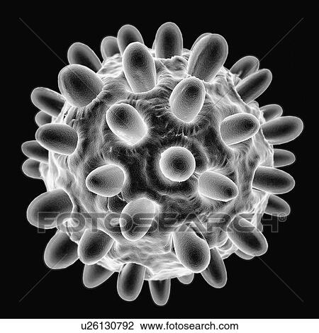 Drawing - Hepatitis b, artwork. Fotosearch