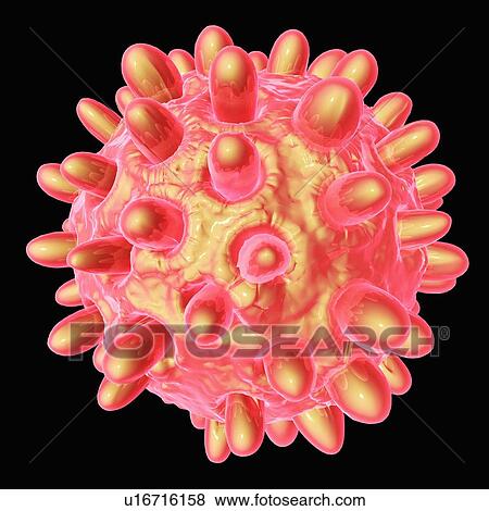Hepatitis b, artwork View Large Illustration Stock Illustration - Hepatitis b, artwork. Fotosearch