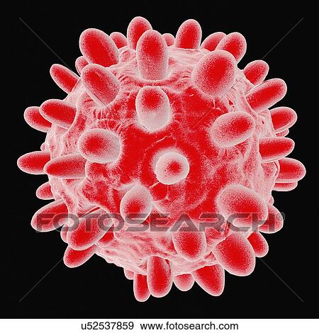 Stock Illustration - Hepatitis b, artwork. Fotosearch