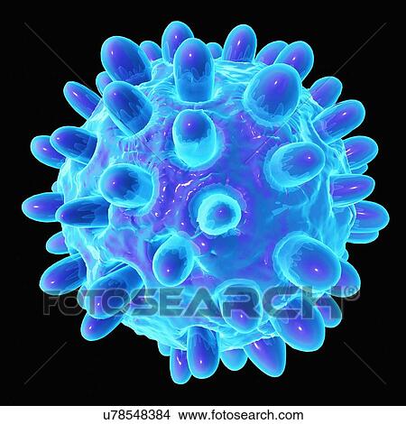 Hepatitis b, artwork View Large Illustration Stock Illustration - Hepatitis b, artwork. Fotosearch