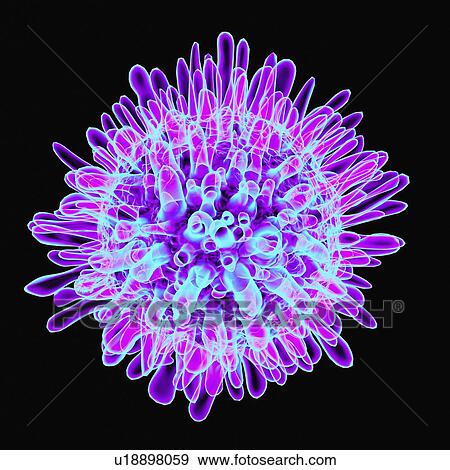 Stock Illustration - Hepatitis c, artwork. Fotosearch