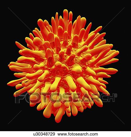 Stock Illustration - Hepatitis c, artwork. Fotosearch