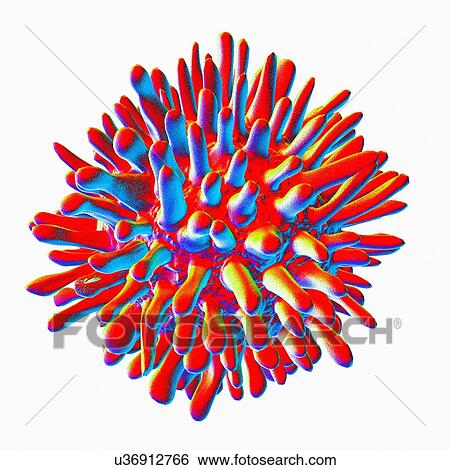 Hepatitis c, artwork View Large Illustration Stock Illustration - Hepatitis c, artwork. Fotosearch