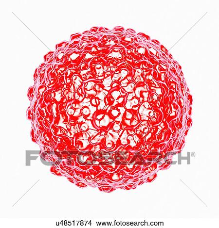 Stock Illustration - Herpes simplex, artwork. Fotosearch