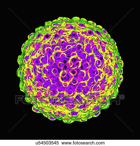 Stock Illustration - Herpes simplex, artwork. Fotosearch
