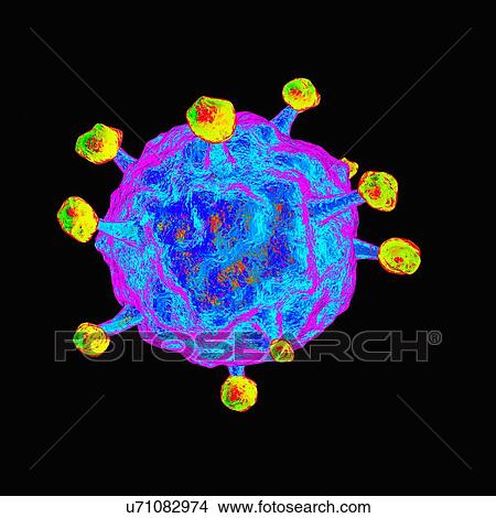 Stock Illustration - Human b-lymphotropic virus, artwork. Fotosearch