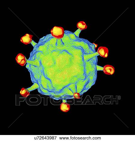 Stock Illustration - Human b-lymphotropic virus, artwork. Fotosearch