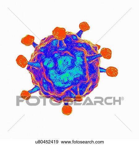 Human b-lymphotropic virus, artwork View Large Illustration Stock Illustration - Human b-lymphotropic virus, artwork. Fotosearch