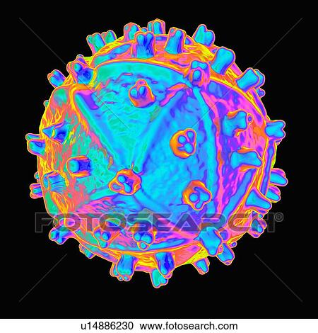 Human immunodeficiency virus, artwork View Large Illustration Clipart - Human immunodeficiency virus, artwork. Fotosearch