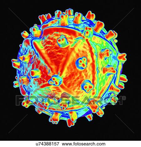 Stock Illustration - Human immunodeficiency virus, artwork. Fotosearch