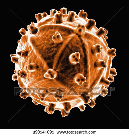 Stock Illustration - Human immunodeficiency virus, artwork. Fotosearch