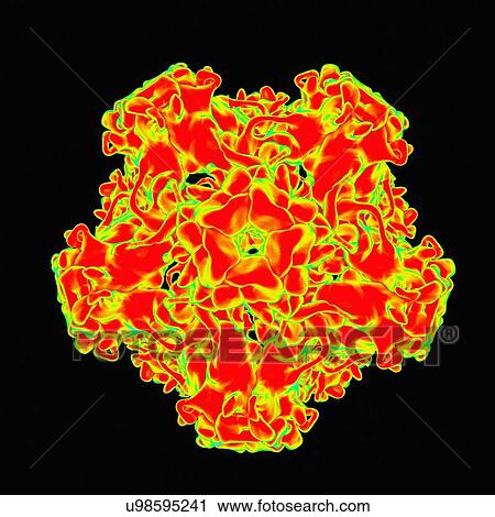 Clip Art - Human papillomavirus, artwork. Fotosearch