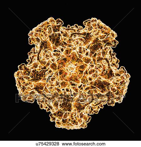 Stock Illustration - Human papillomavirus, artwork. Fotosearch