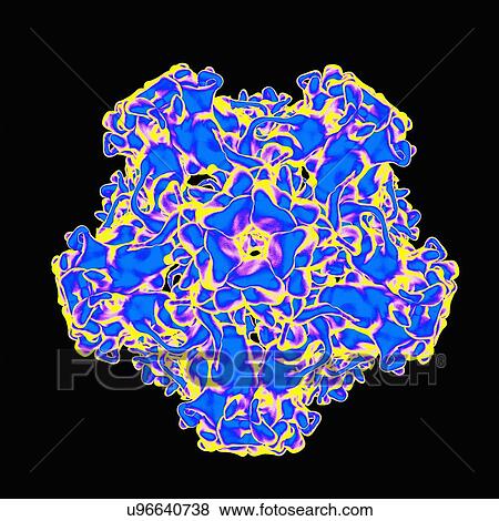 Human papillomavirus, artwork View Large Illustration Stock Illustration - Human papillomavirus, artwork. Fotosearch