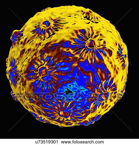 Clip Art - Human papillomavirus (HPV), artwork. Fotosearch