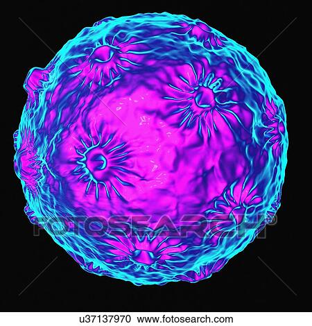 Clipart - Human papillomavirus (HPV), artwork. Fotosearch