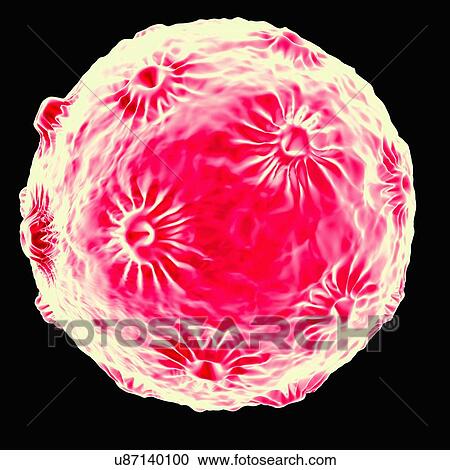 Clipart - Human papillomavirus (HPV), artwork. Fotosearch