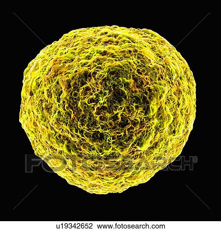 Drawing - Human t-cell leukemia virus, artwork. Fotosearch