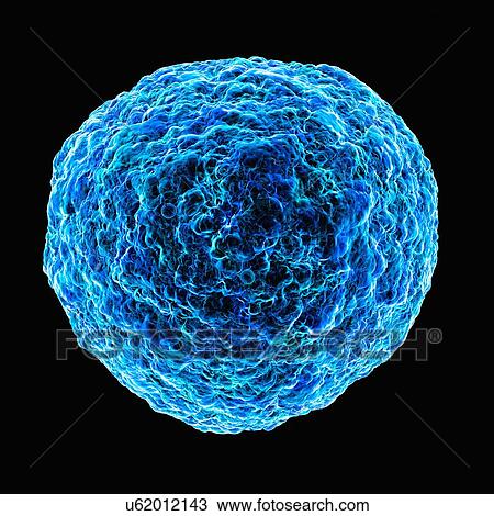 Drawing - Human t-cell leukemia virus, artwork. Fotosearch