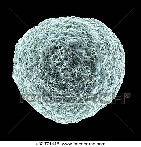 Human t-cell leukemia virus, artwork View Large Illustration Stock Illustration - Human t-cell leukemia virus, artwork. Fotosearch