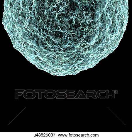 Human t-cell leukemia virus, artwork View Large Illustration Stock Illustration - Human t-cell leukemia virus, artwork. Fotosearch