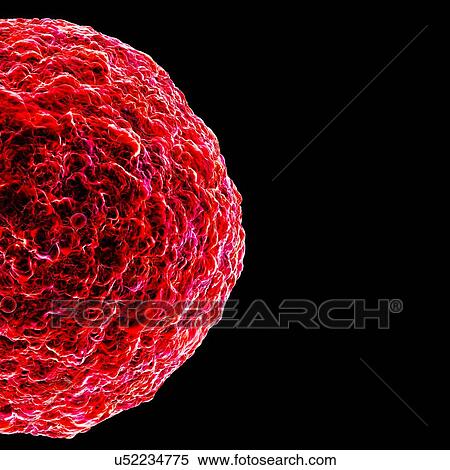 Human t-cell leukemia virus, artwork View Large Illustration Stock Illustration - Human t-cell leukemia virus, artwork. Fotosearch