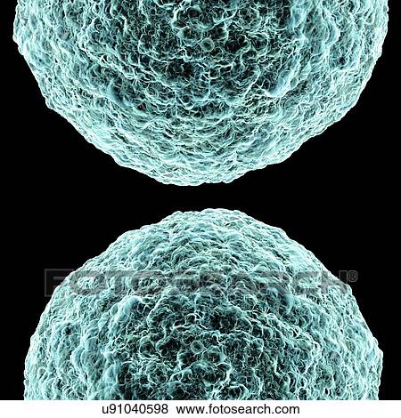 Stock Illustration - Human t-cell leukemia virus, artwork. Fotosearch