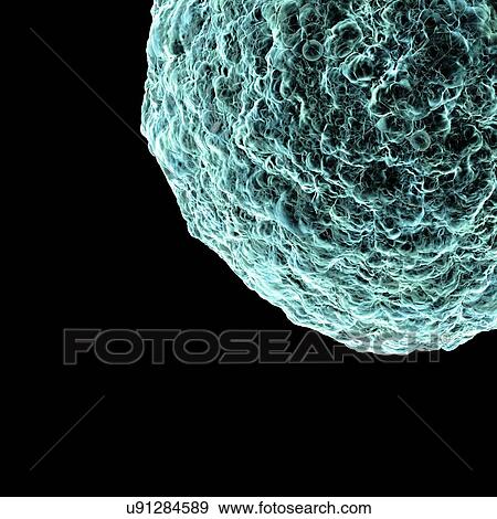 Stock Illustration - Human t-cell leukemia virus, artwork. Fotosearch