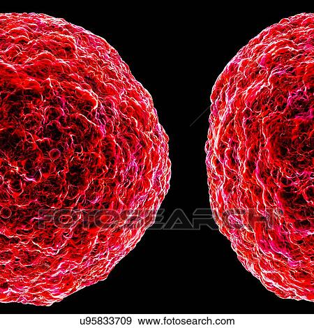 Stock Illustration - Human t-cell leukemia virus, artwork. Fotosearch