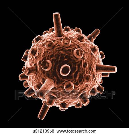 Infantile gastroenteritis virus, artwork View Large Illustration Stock Illustration - Infantile gastroenteritis virus, artwork. Fotosearch