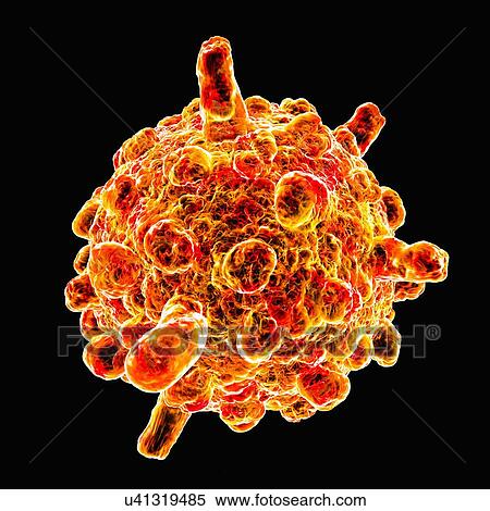 Stock Illustration - Infantile gastroenteritis virus, artwork. Fotosearch