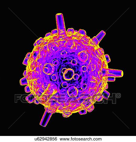 Infantile gastroenteritis virus, artwork View Large Illustration Stock Illustration - Infantile gastroenteritis virus, artwork. Fotosearch