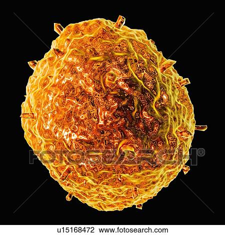 Drawing - Influenza virus H1N1, artwork. Fotosearch
