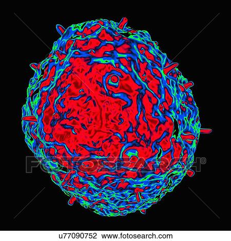 Drawing - Influenza virus H1N1, artwork. Fotosearch