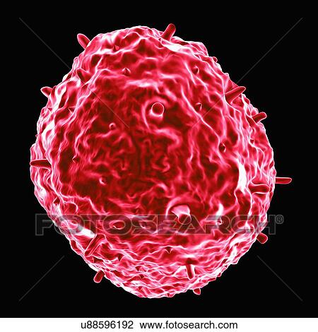 Influenza virus H1N1, artwork View Large Illustration Drawing - Influenza virus H1N1, artwork. Fotosearch