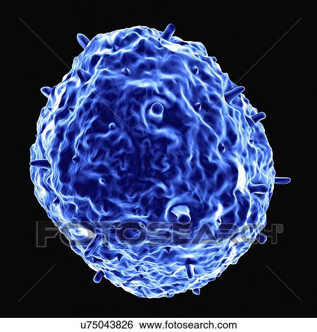 Stock Illustration - Influenza virus H1N1, artwork. Fotosearch