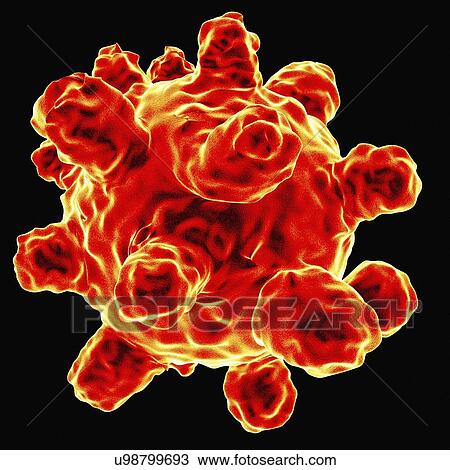 Measles virus, artwork View Large Illustration Drawing - Measles virus, artwork. Fotosearch