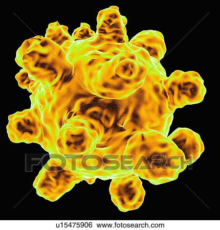 Stock Illustration - Measles virus, artwork. Fotosearch