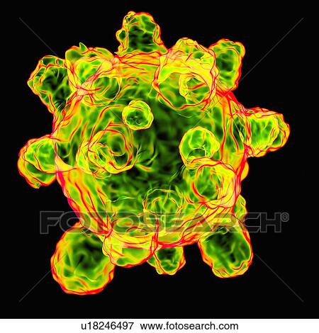 Stock Illustration - Measles virus, artwork. Fotosearch