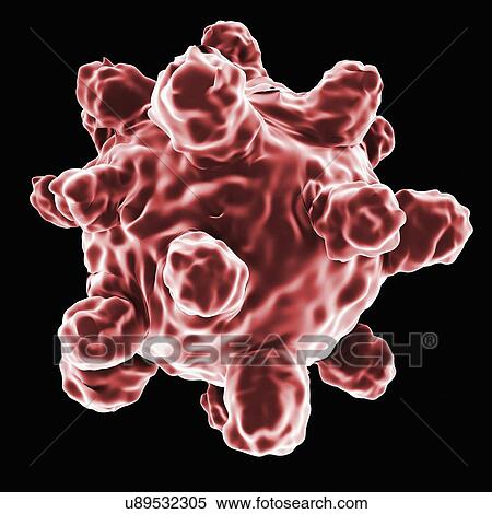 Stock Illustration - Measles virus, artwork. Fotosearch