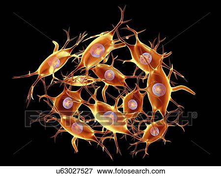 Stock Illustration - Neural tissue, artwork. Fotosearch