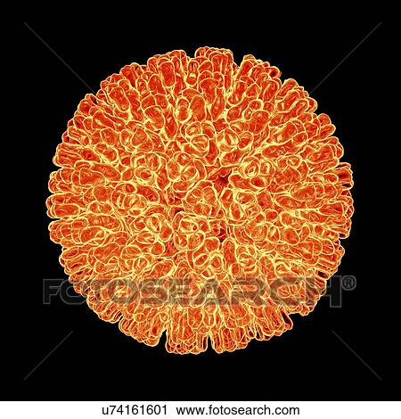 Clip Art - Rotavirus, artwork. Fotosearch