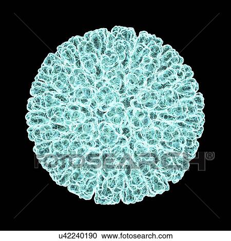 Rotavirus, artwork View Large Illustration Clipart - Rotavirus, artwork. Fotosearch