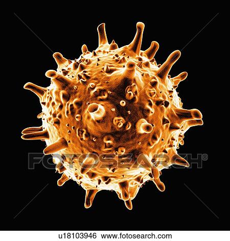 Stock Illustration - SARS virus, artwork. Fotosearch