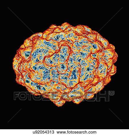 Smallpox virus, artwork View Large Illustration Drawing - Smallpox virus, artwork. Fotosearch