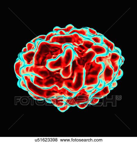 Stock Illustration - Smallpox virus, artwork. Fotosearch