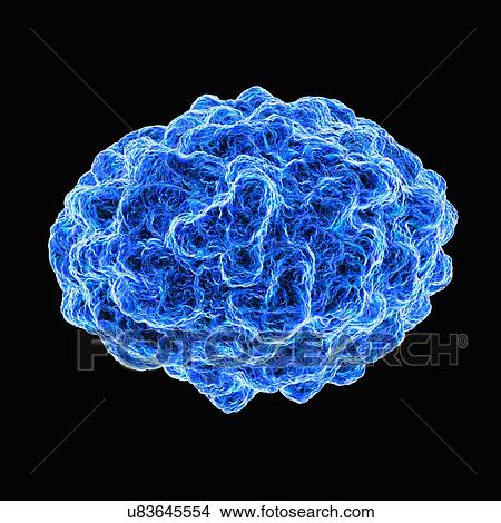Smallpox virus, artwork View Large Illustration Stock Illustration - Smallpox virus, artwork. Fotosearch