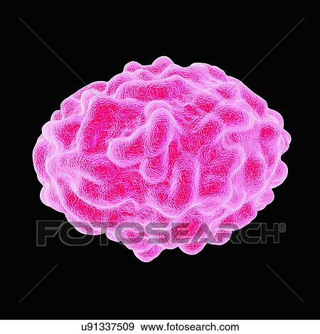 Smallpox virus, artwork View Large Illustration Stock Illustration - Smallpox virus, artwork. Fotosearch